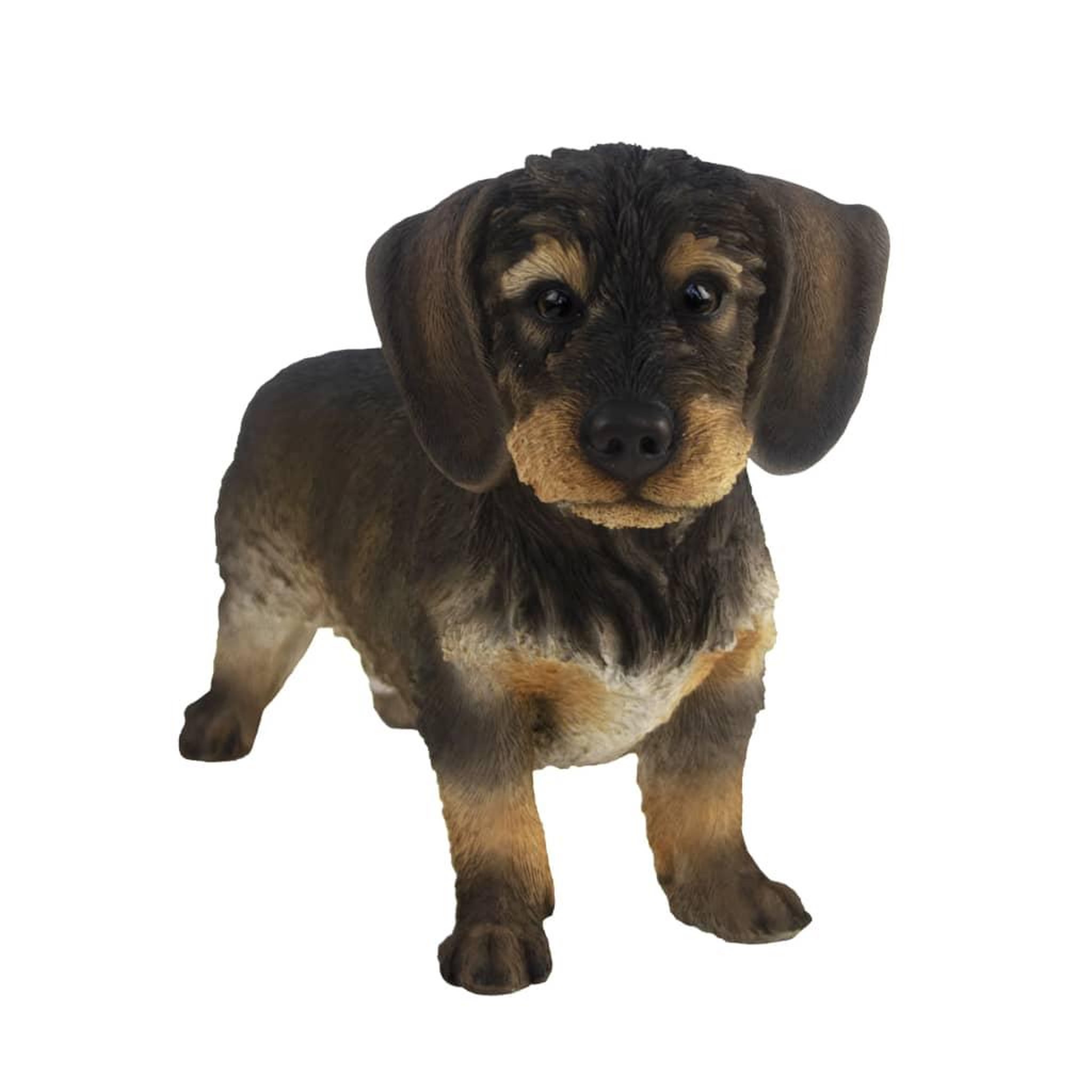 Voir la diapositive 1 : ESSCHERT DESIGN Esschert Design Statuette de Teckel 50x15x27,8 cm
