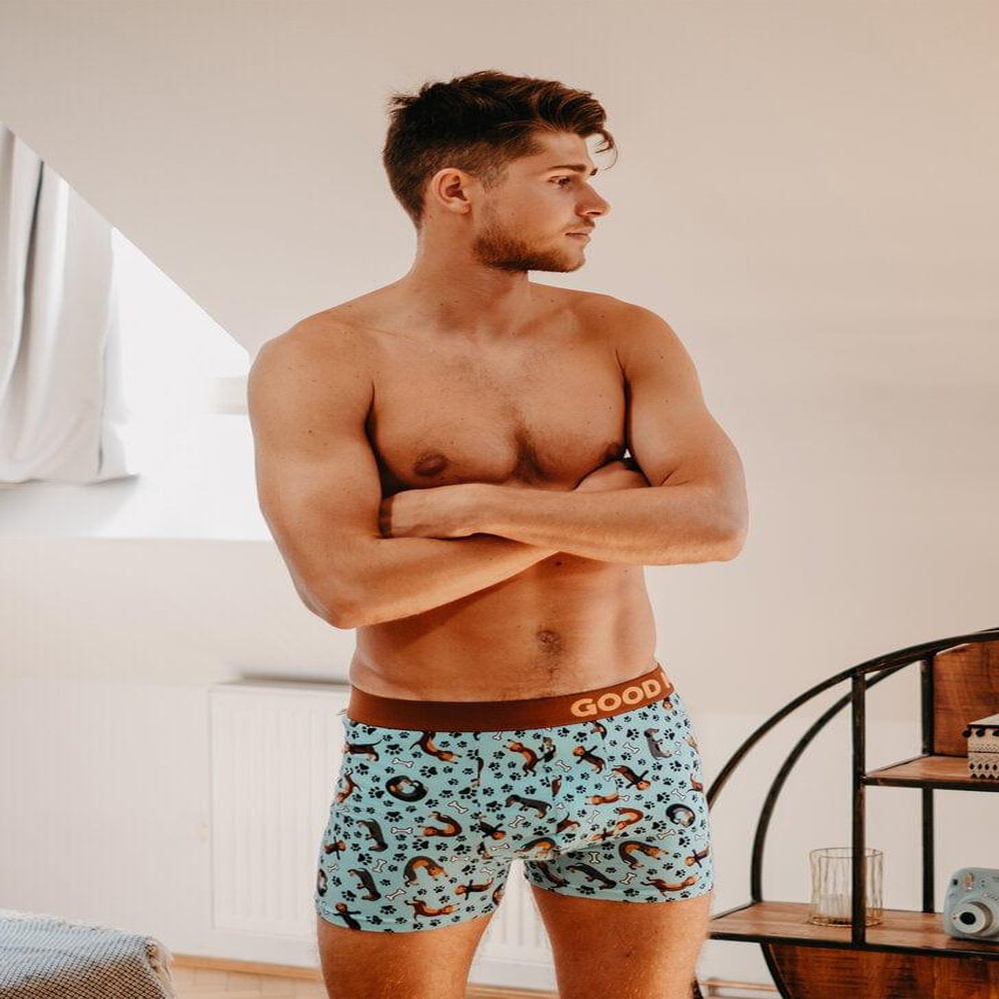 Voir la diapositive 6 : DEDOLES Boxer dedoles homme teckel