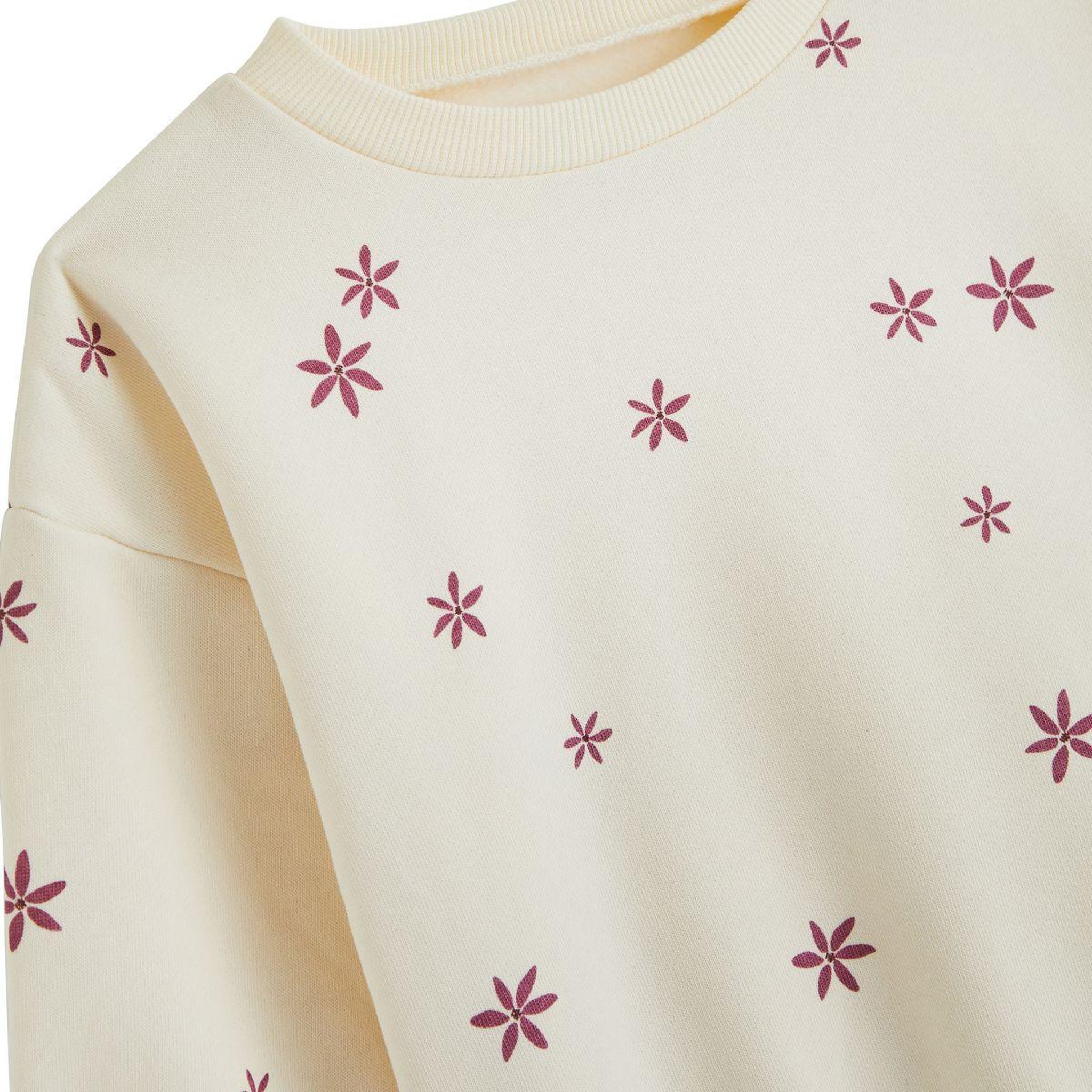 Voir la diapositive 3 : PETIT BEGUIN Sweat en molleton Misti