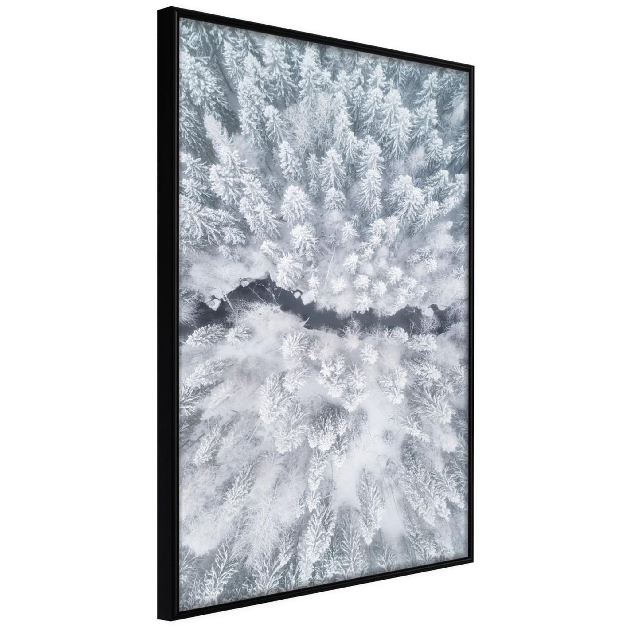 Paris Prix Affiche Murale Encadrée  Winter Forest From a Bird's Eye View