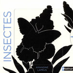 INSECTES, Laprun Amandine
