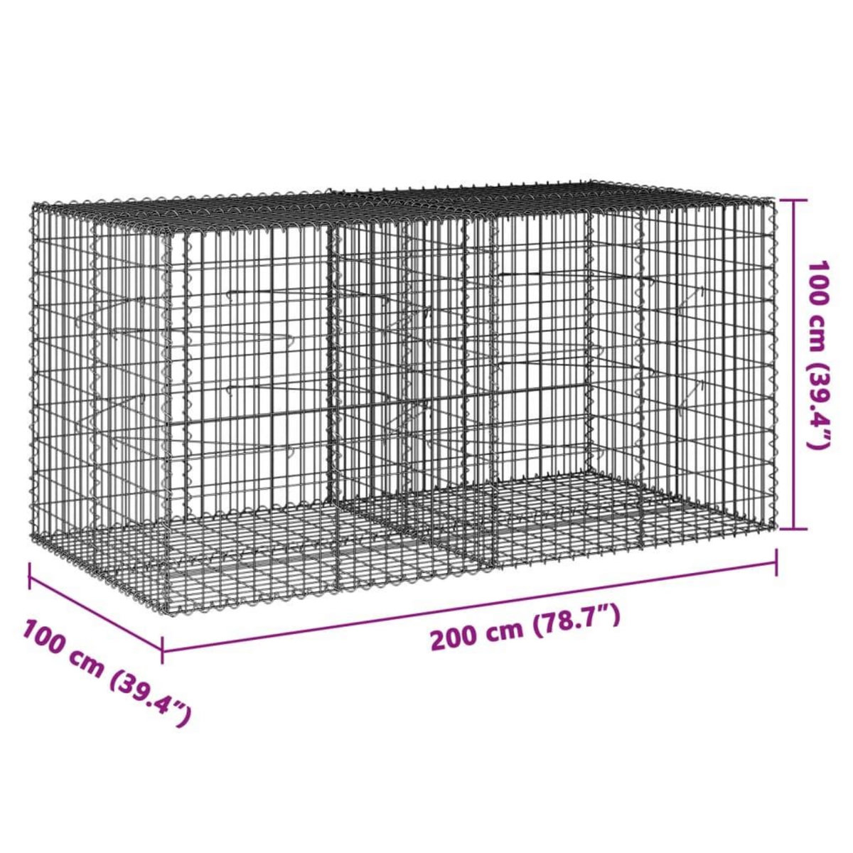 VIDAXL Panier gabion avec couvercle 200x100x100 cm fer galvanise