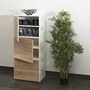 Voir la diapositive 7 : Meuble à chaussures 3 portes H118cm MAX
