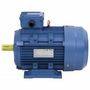Voir la diapositive 3 : VIDAXL Moteur electrique triphase Aluminium 3kW/4 CH 2840 tr/min