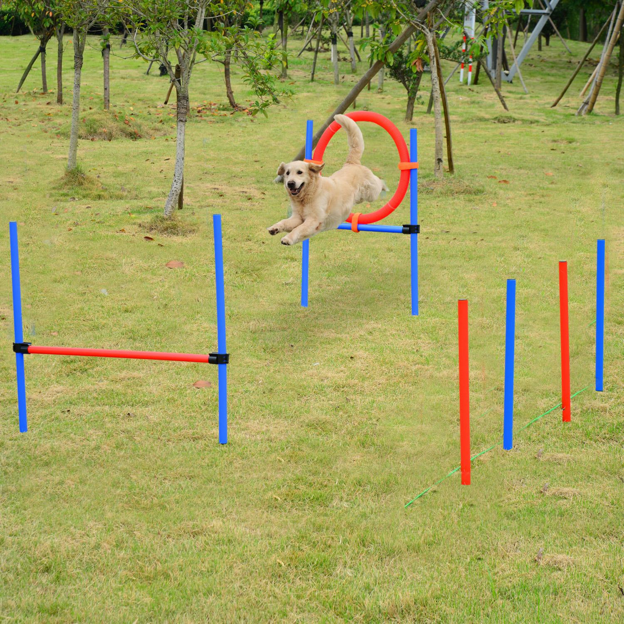Voir la diapositive 2 : PAWHUT Agility sport pour chiens équipement complet obstacles et entrainement 11 pièces avec sac de transport acier rouge et bleu