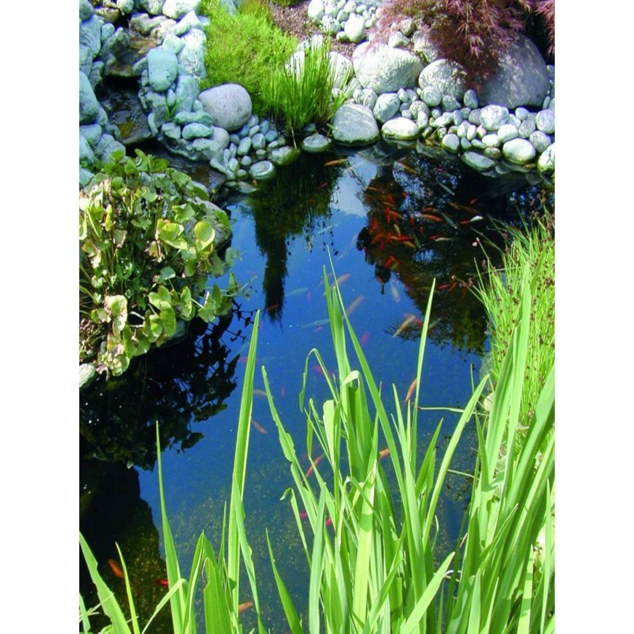 Voir la diapositive 3 : Ubbink Bassin préformé Neptunus V - 8,74 m² - 3800 L