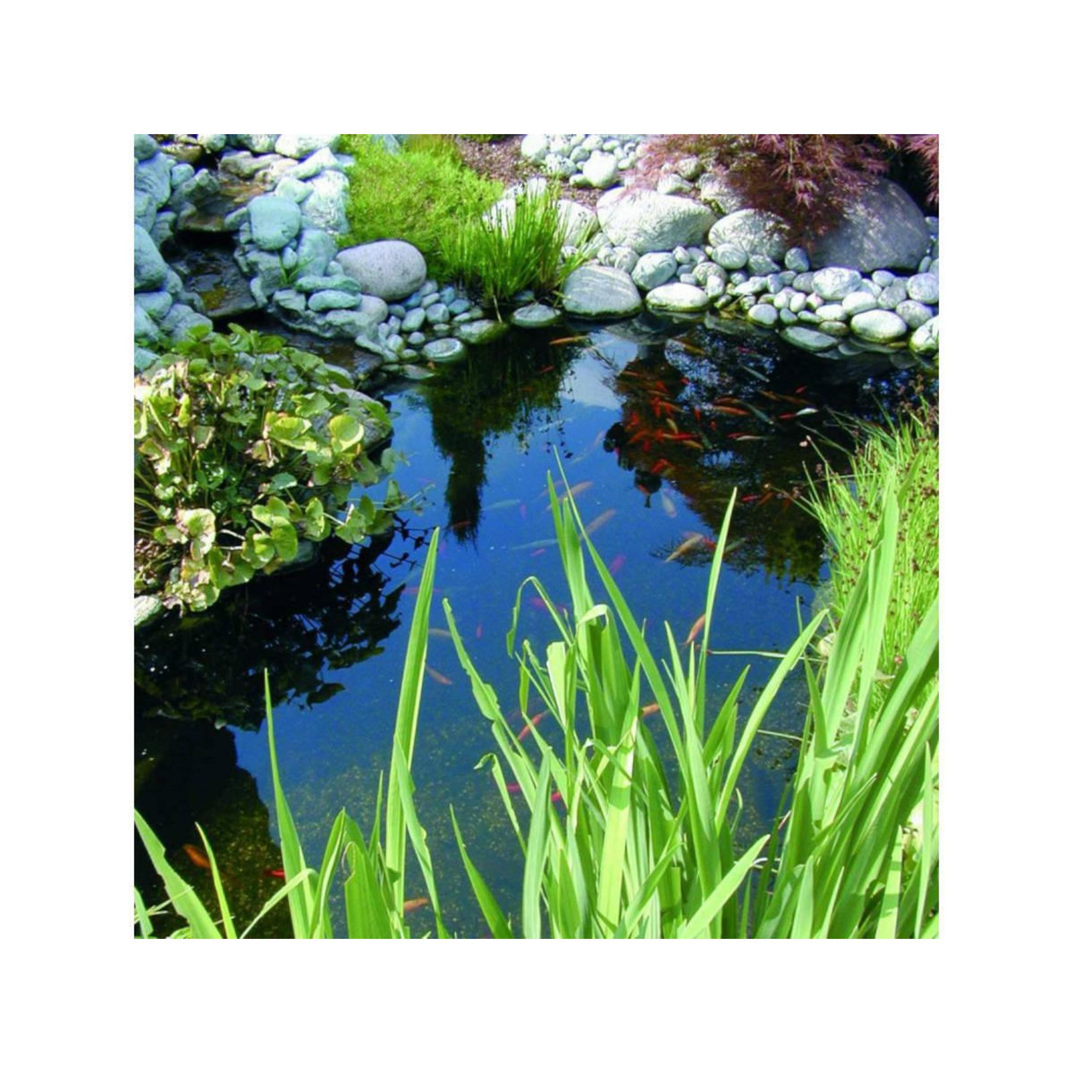 Ubbink Bassin préformé Neptunus V - 8,74 m² - 3800 L