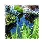 Voir la diapositive 3 : Ubbink Bassin préformé Neptunus V - 8,74 m² - 3800 L