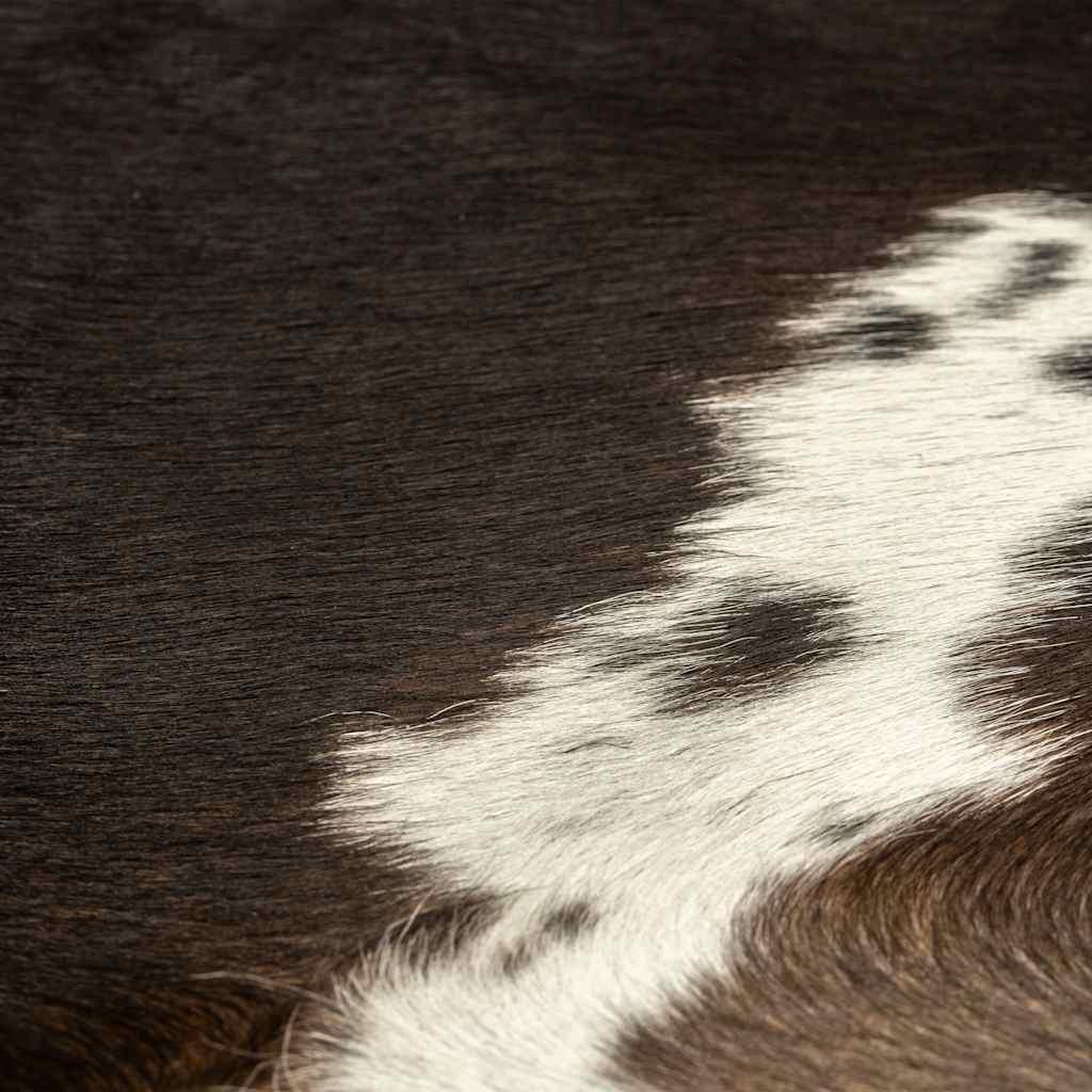 Voir la diapositive 3 : VIDAXL Tapis en peau de vache veritable noir 180x220 cm