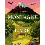 IL Y A UNE MONTAGNE DANS CE LIVRE, Elliot Rachel