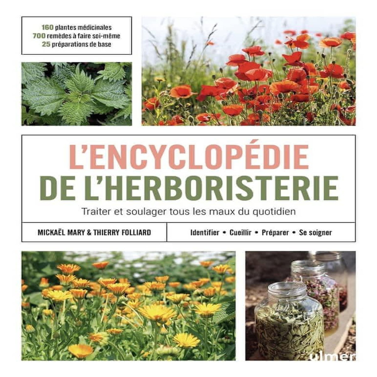 ENCYCLOPEDIE DE L'HERBORISTERIE. TRAITER ET SOULAGER TOUS LES MAUX DU QUOTIDIEN, Mary Mickaël