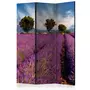 Paris Prix Paravent 3 Volets  Lavender Field in Provence, France  135x172cm