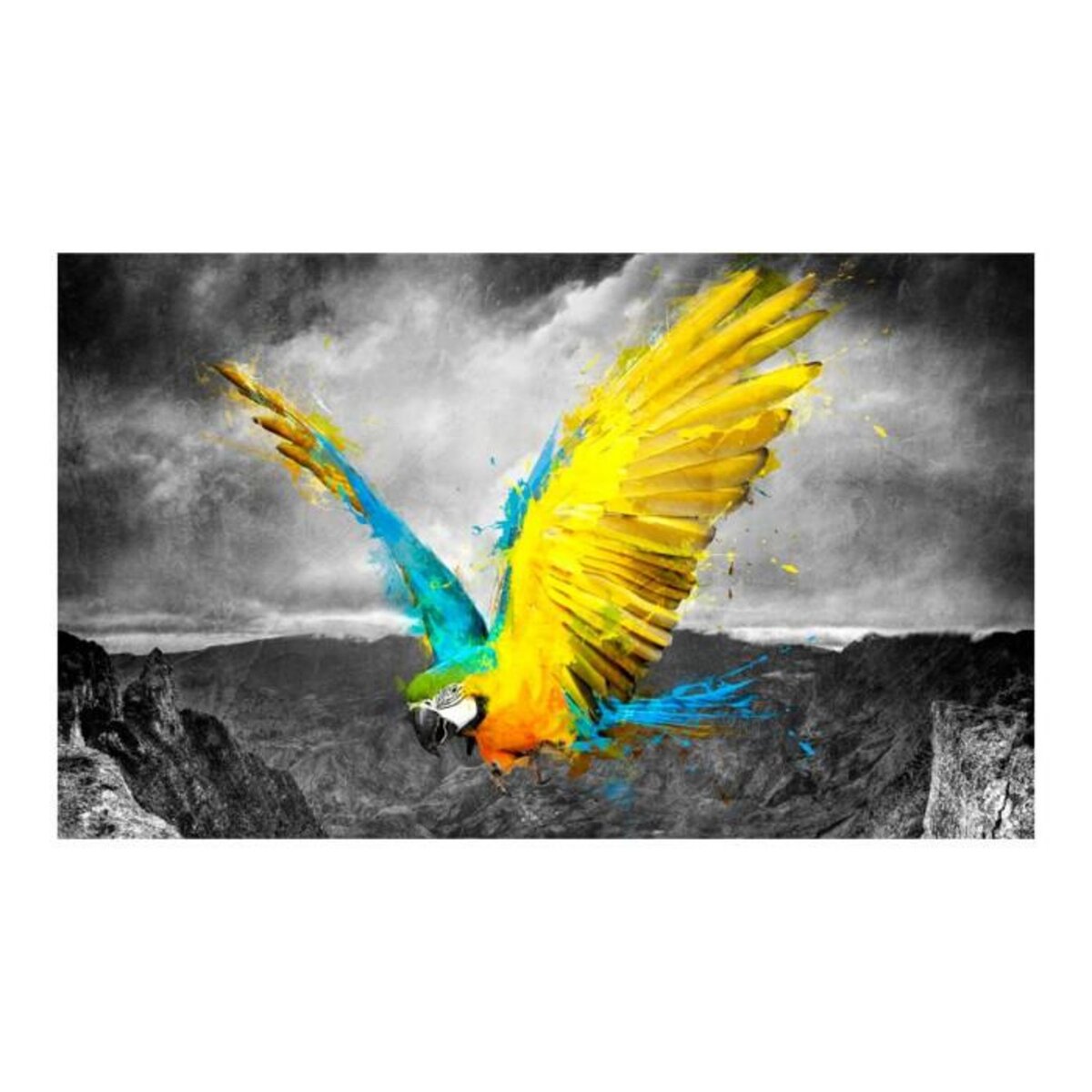 Paris Prix Papier Peint  Exotic Parrot II  270x450cm
