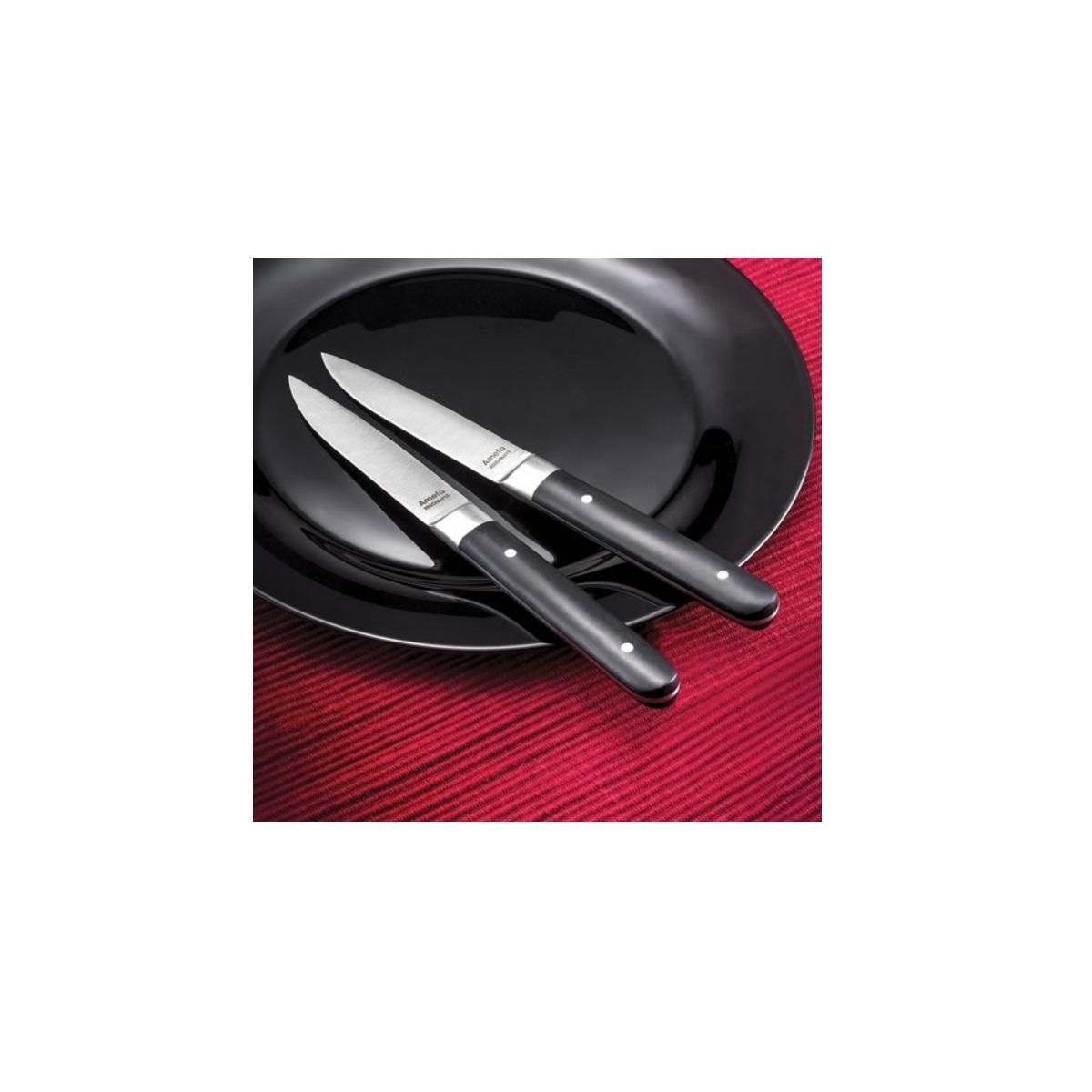 Amefa Coffret de 4 couteaux à steak - 4918AAMB02BR4