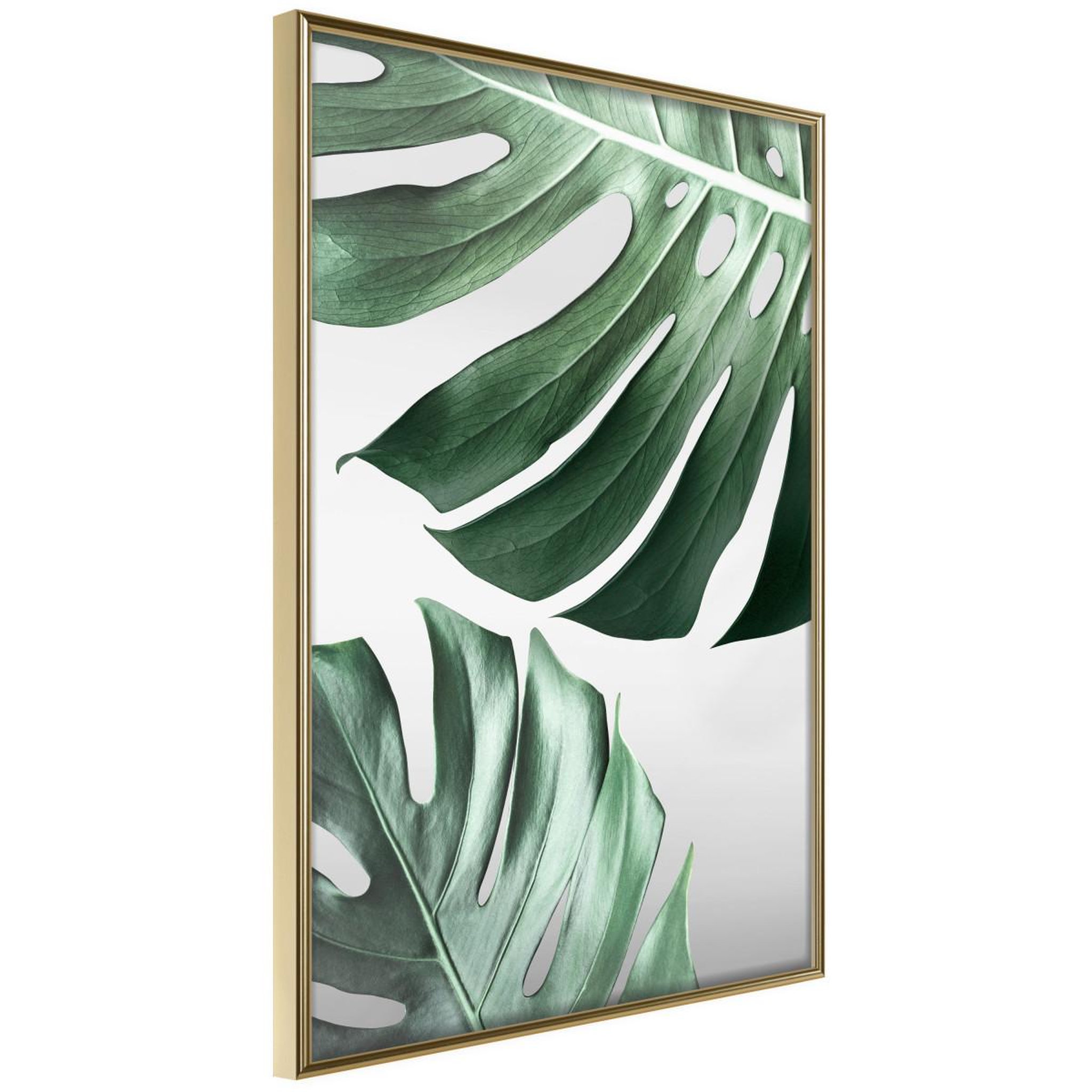 Paris Prix Affiche Murale Encadrée  Leaves Like Swiss Cheese