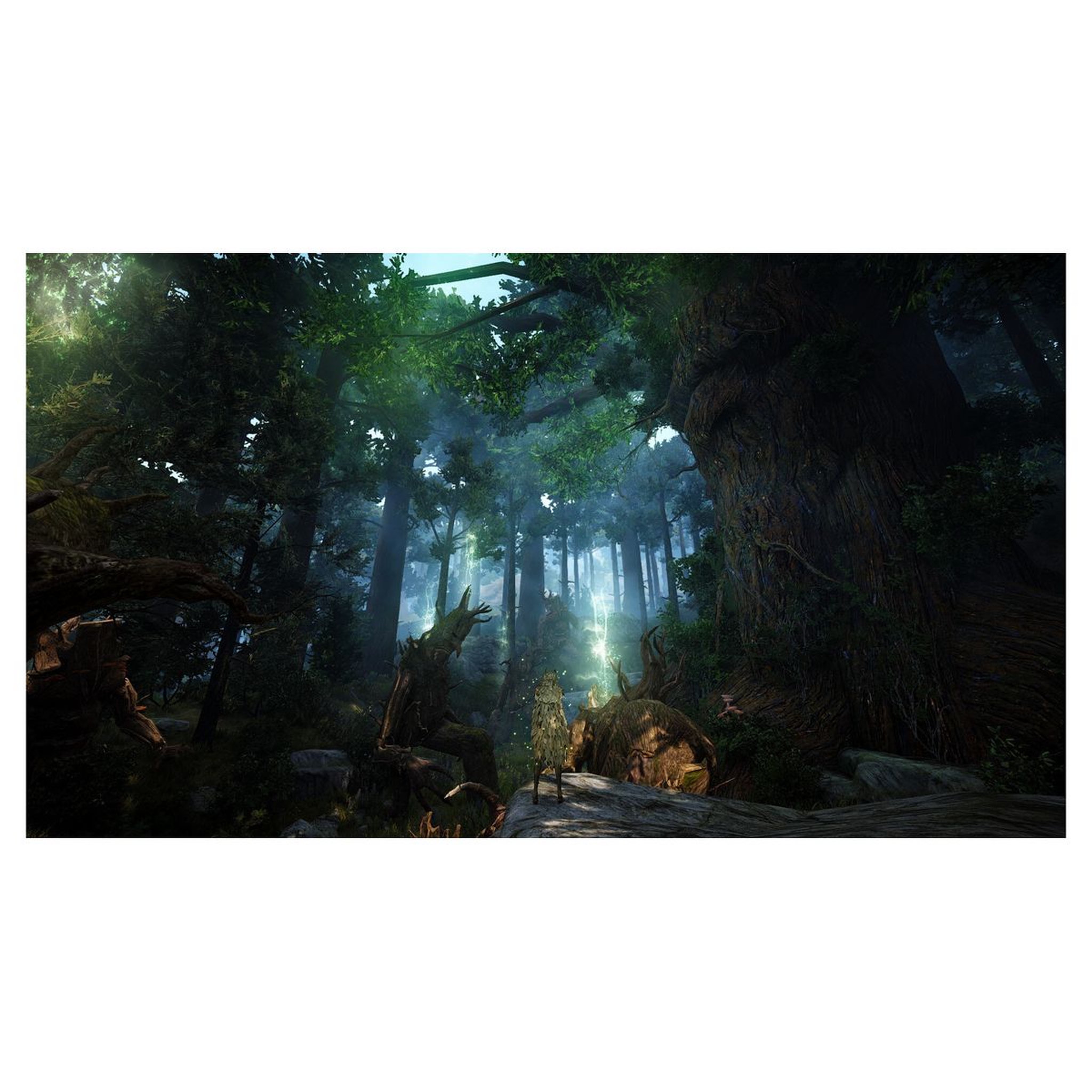 Voir la diapositive 2 : KOCH MEDIA Black Desert Prestige Edition PS4