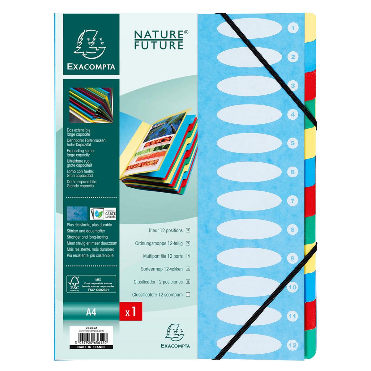 EXACOMPTA Trieur 12 positions A4 - dos extensible - bleu clair