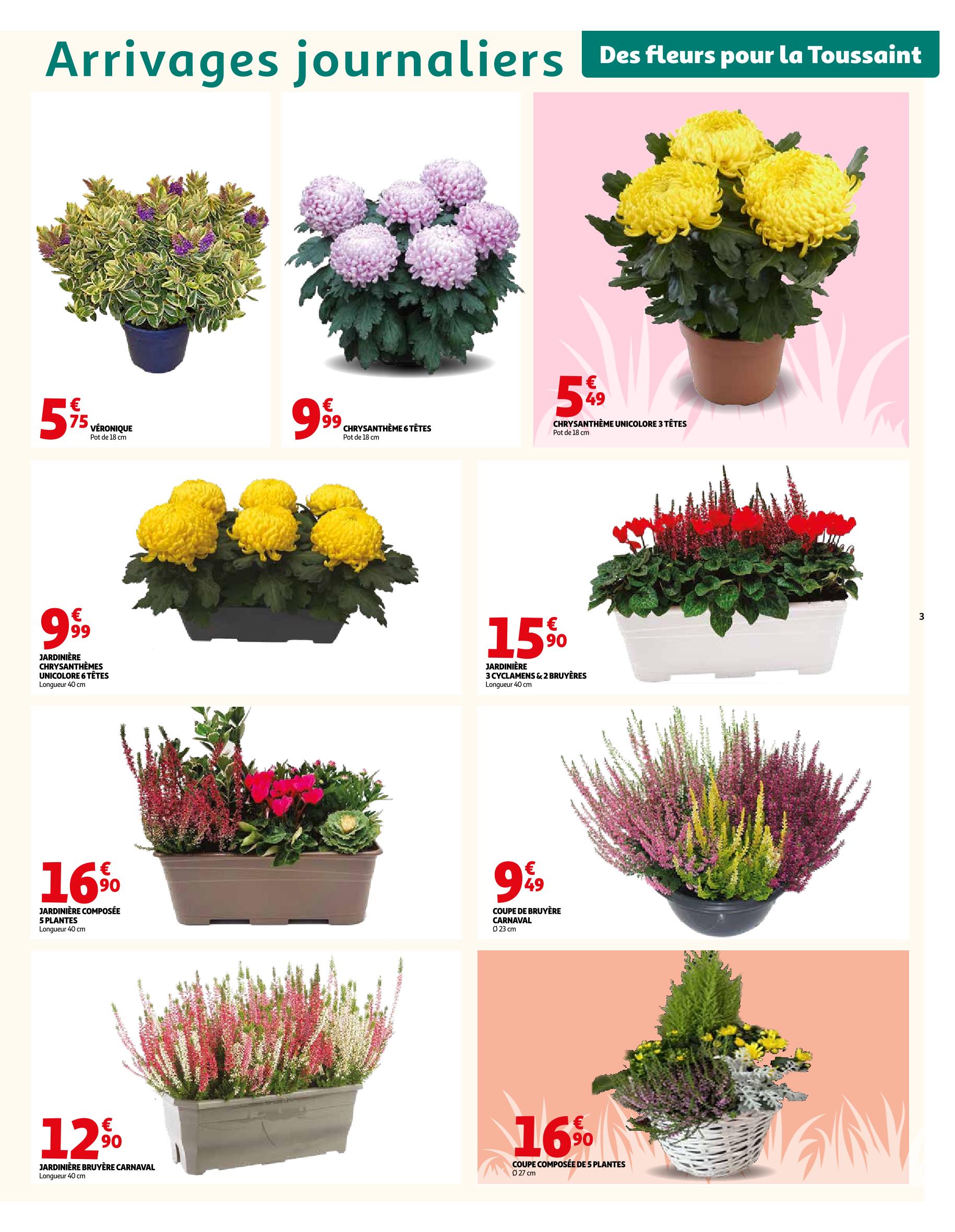 Page catalogue