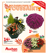 Des fleurs pour la Toussaint