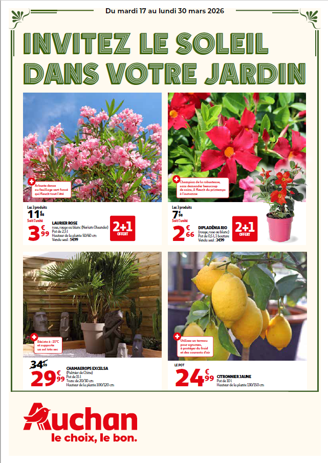 Invitez le soleil dans votre jardin