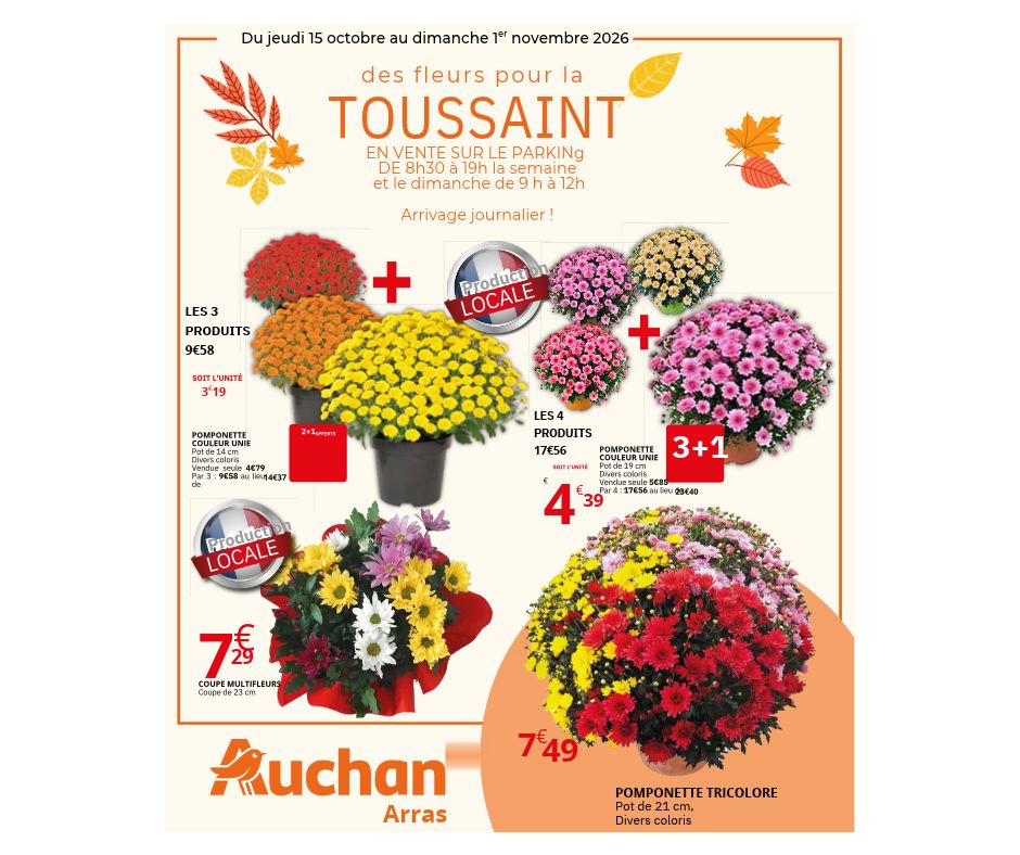 Des fleurs pour la Toussaint Auchan Arras