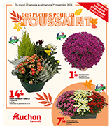 LES FLEURS DE LA TOUSSAINT